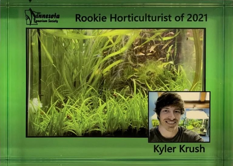 Acrylic Rookie Horticulturist Award